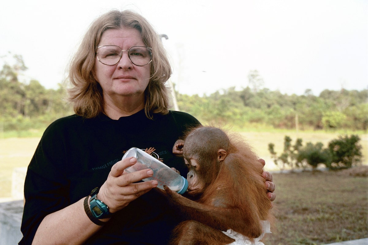 Primatologist Dr. Biruté Galdikas was a leading voice for the protection of orangutans