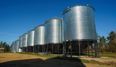 Saskatchewan grain farmers call on Ottawa to close data gap they say costs millions in lost income