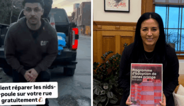 A Montreal man is filling in potholes for free but the mayor wants him to stop