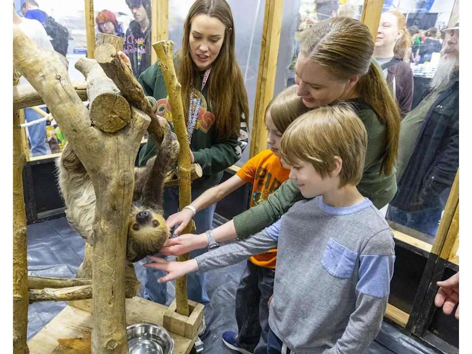  Cobb’s Exotic Animal Rescue’s Ashley Orsted introduces the Hiscock family to a two-toed sloth during the Western Canadian Reptile Expo.