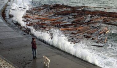 Strong winds forecast for much of B.C. starting Monday: Environment Canada