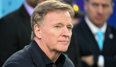 NFL says will not scrap diversity measure despite Republican pressure