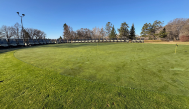 A green putting green surrounded by golf carts.