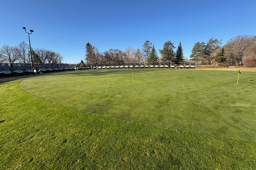 A green putting green surrounded by golf carts.