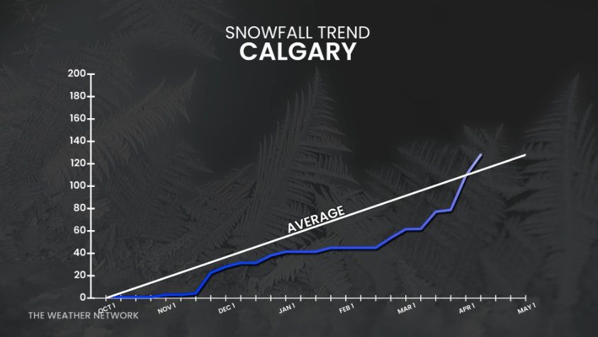 Snowfall in Calgary rose sharply in late winter, surpassing seasonal averages during March and early April, according to an analysis by The Weather Network. Image / The Weather Network