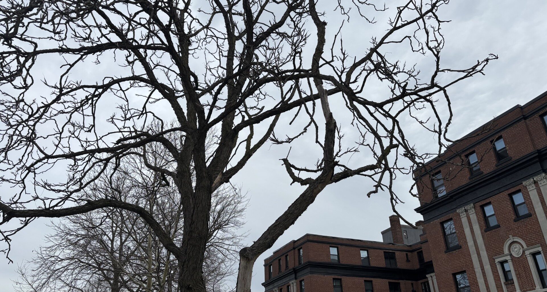 Windsor, the hottest spot in Canada, Tuesday morning