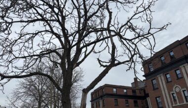 Windsor, the hottest spot in Canada, Tuesday morning