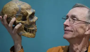 Climate vs competition: what killed our closest relatives?