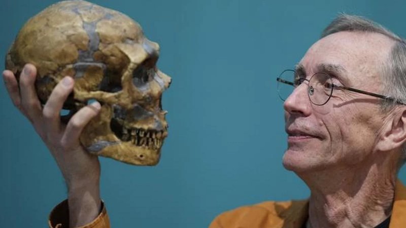 Climate vs competition: what killed our closest relatives?