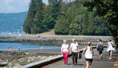 '15 years of neglect': Vancouver park board calls for $1.35 billion to tackle repair backlog