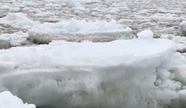 So-Called 'Super El Nino' Forming in Pacific Could Result in Colder Winter, More Sea Ice Off NL Next Winter