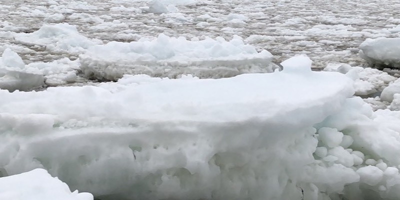 So-Called 'Super El Nino' Forming in Pacific Could Result in Colder Winter, More Sea Ice Off NL Next Winter