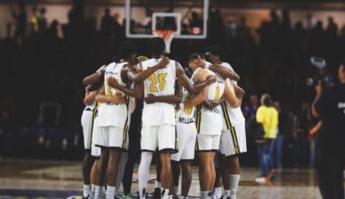 The Stingers are Set for a High-Energy Summer Run