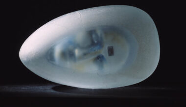 Exhibition Uplifts One of Sweden’s Most Pioneering Glass Artists