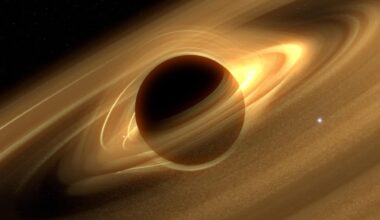 Black Hole