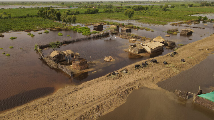 Building Light in a Flood Zone: Architecture for Seasonal Inundation - Image 10 of 11