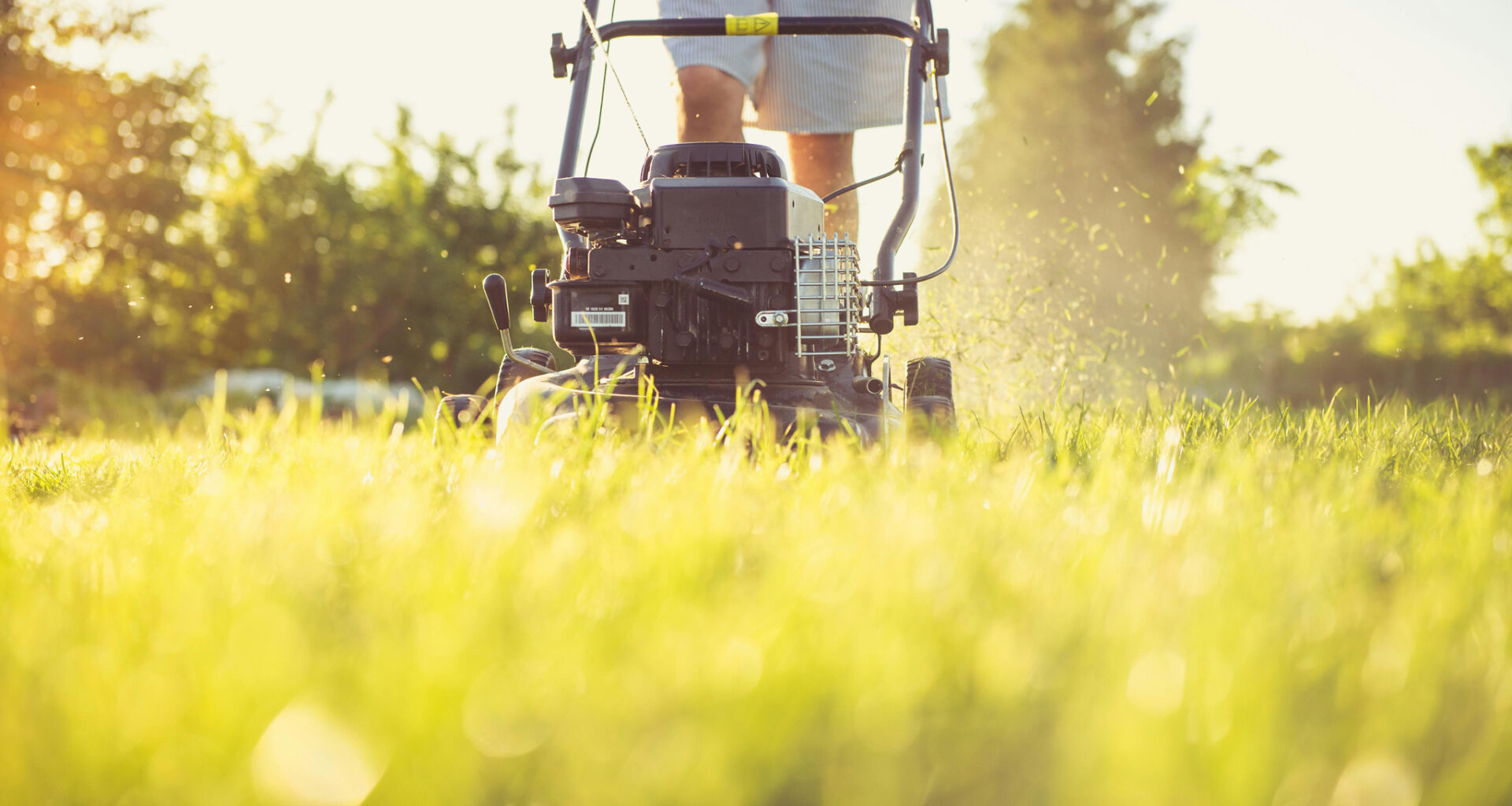 bylaw grass weeds mississauga