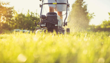 bylaw grass weeds mississauga