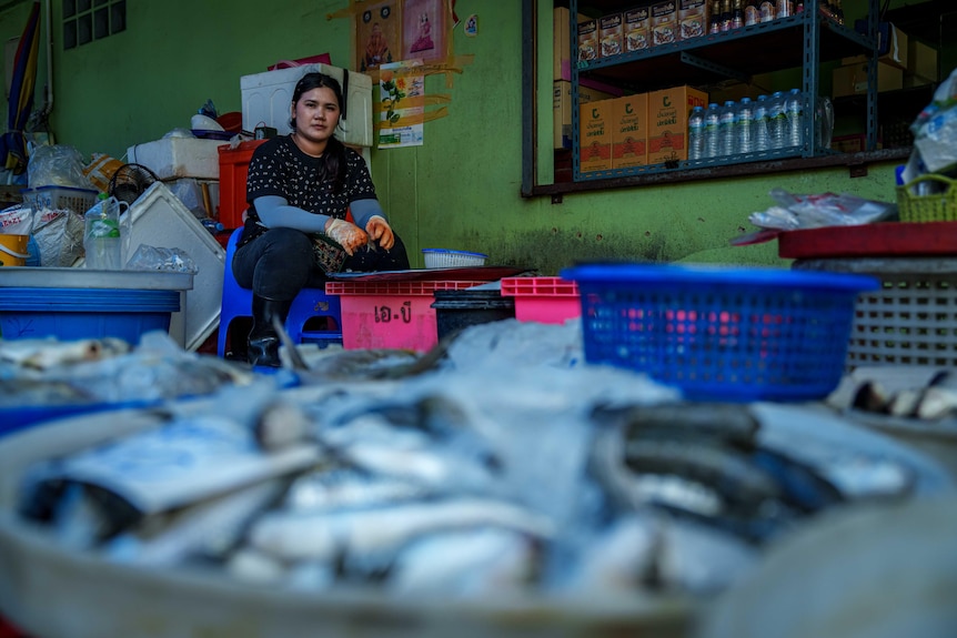 A woman sits at a low stool, behind buckets full of fish at a shop with bright green walls.