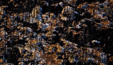 Canada’s wildfire season forecast is ’cause for concern,’ experts warn - National