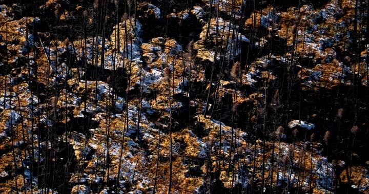 Canada’s wildfire season forecast is ’cause for concern,’ experts warn - National