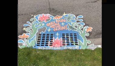 brampton street catchbasin drain