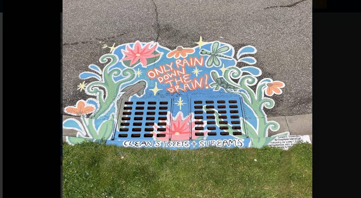 brampton street catchbasin drain