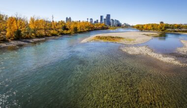 Calgary city council votes to cut back on water use, fix leaky pipes in new plan