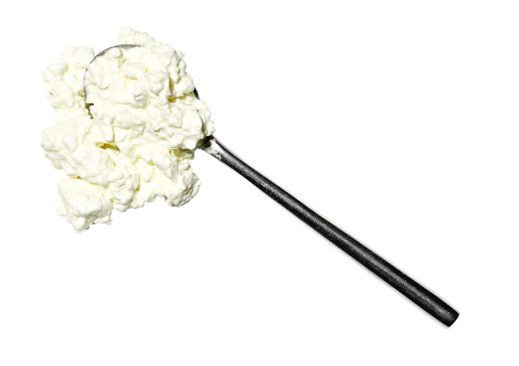 spoon with a serving of cottage cheese spoon with a serving of cottage cheese