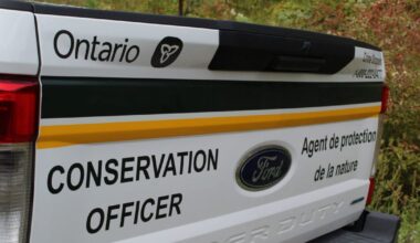 Haliburton woman fined for illegal hunting