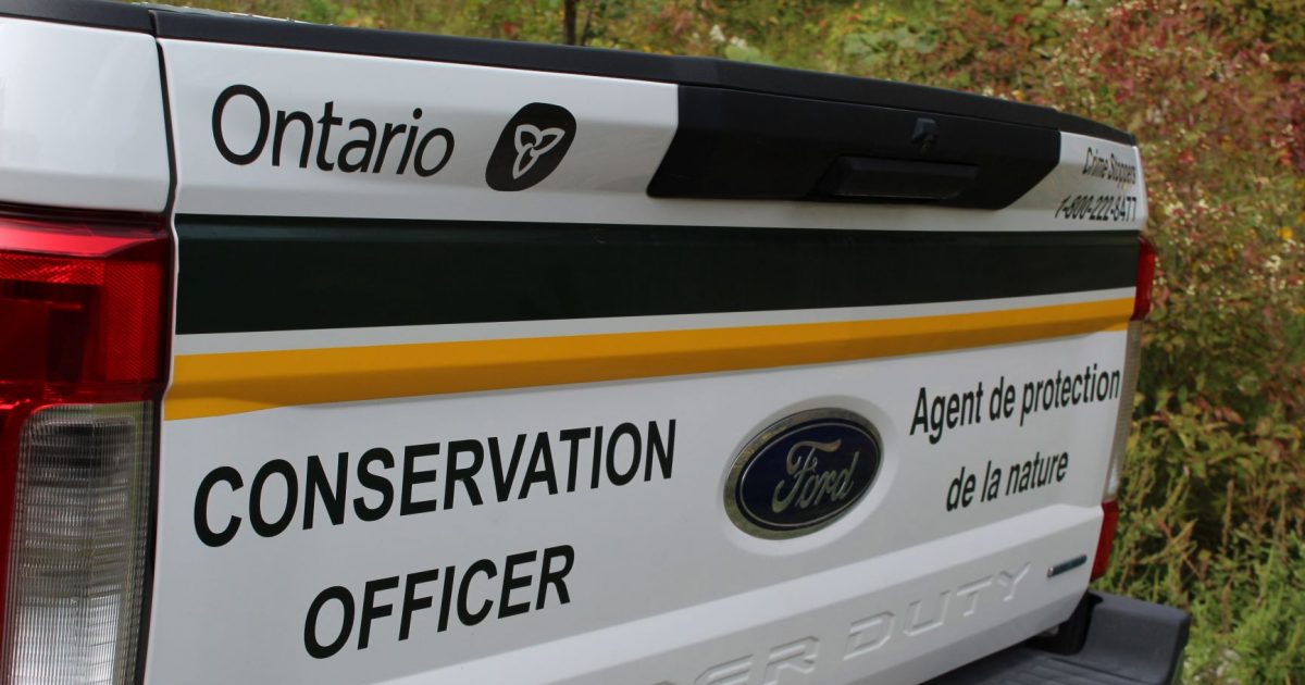 Haliburton woman fined for illegal hunting