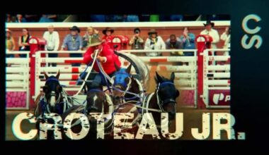 Calgary Stampede canvas auction smashes old record for total amount bid