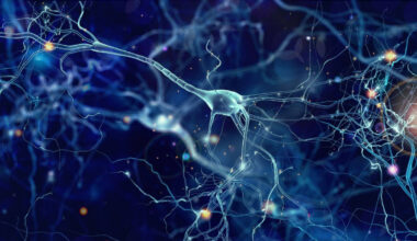 Neurons store and burn lipids, not just glucose