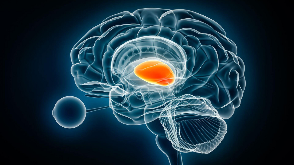 Confirmed: ultrasound neuromodulation helps manage pain