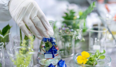 Using plants to fight Ebola and COVID-19