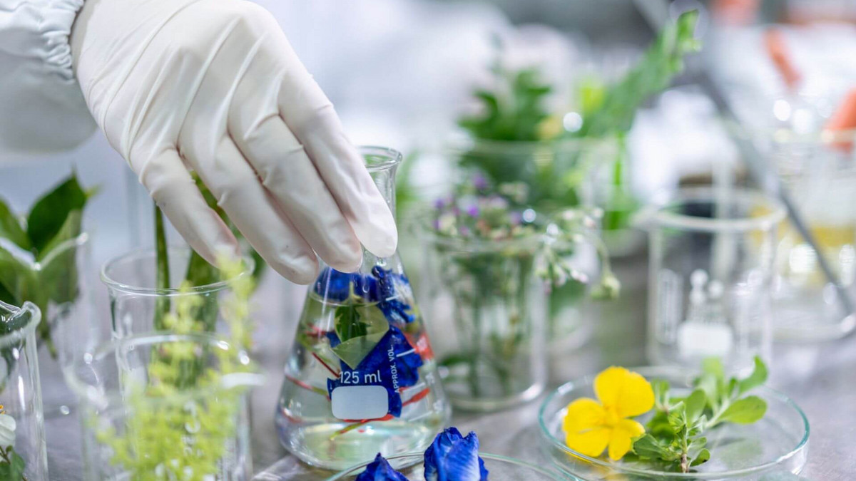 Using plants to fight Ebola and COVID-19