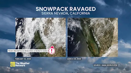 Sierra Nevada, Calif., snowpack ravaged