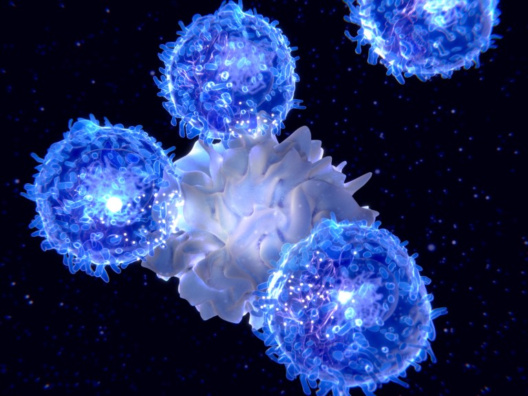 A 3D illustration of a dendritic cell presenting an antigen to T-lymphocytes.