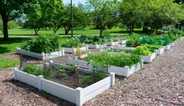 Grants on offer for community projects