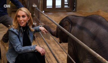 CNN exclusive: Dana Bash goes behind the scenes with the baby Asian elephant at the National Zoo