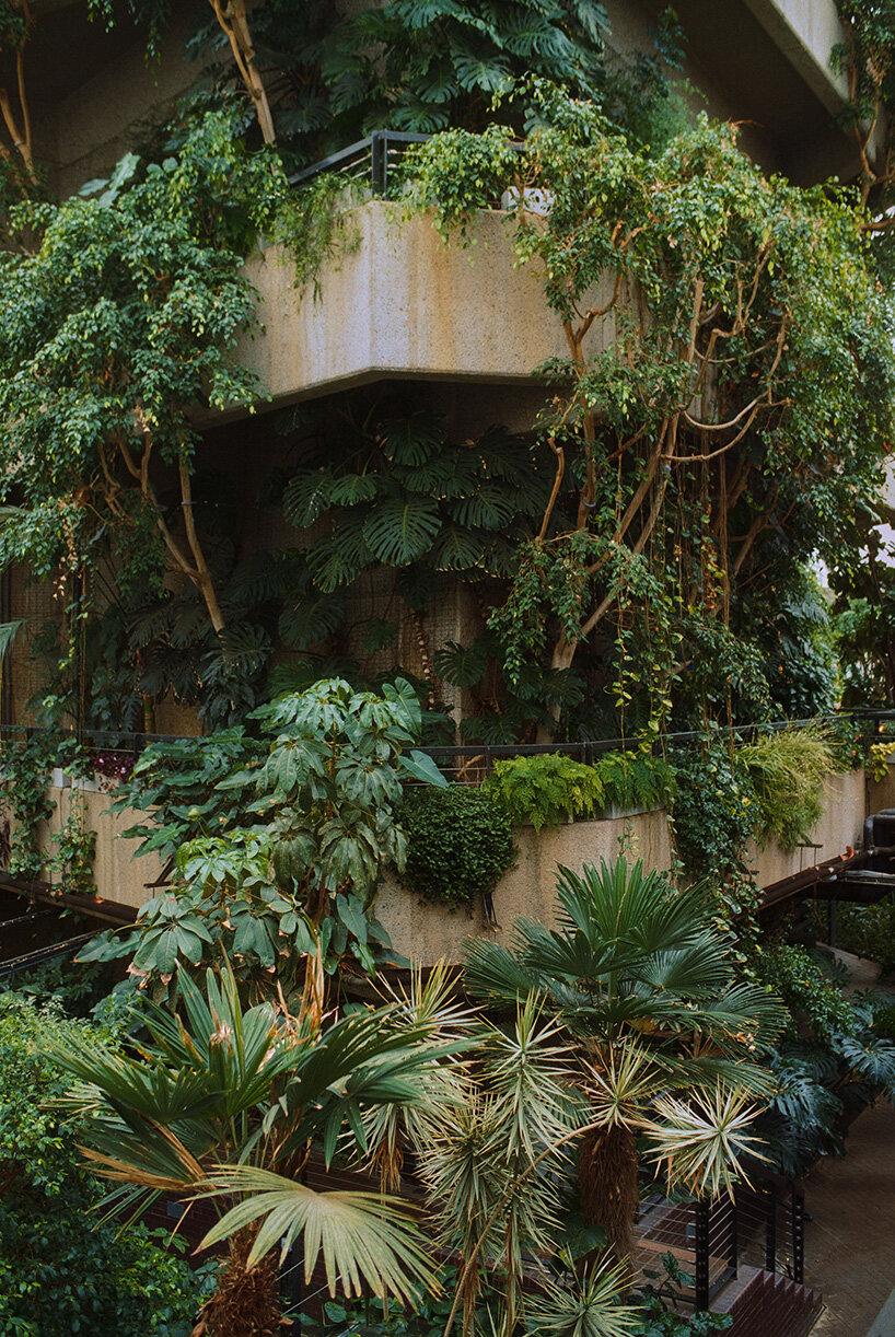 david altrath documents the jungle suspended inside london's barbican conservatory - 3