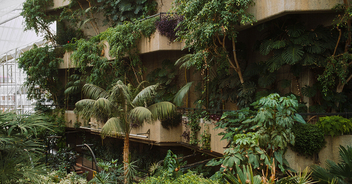 david altrath documents london's barbican conservatory