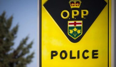 Ottawa man, 23, charged with child-sex offences