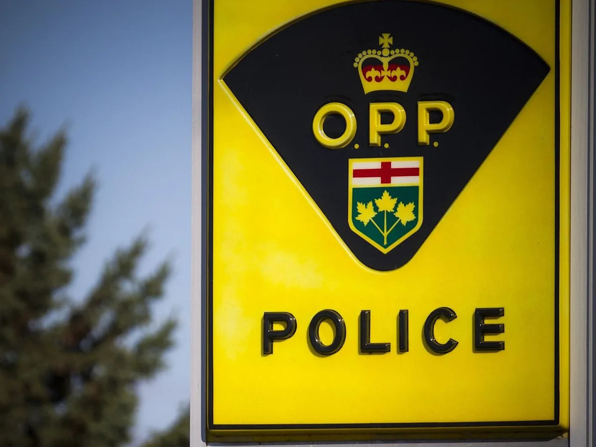 Ottawa man, 23, charged with child-sex offences