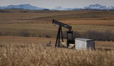 Calgary-based energy company ordered to suspend operations
