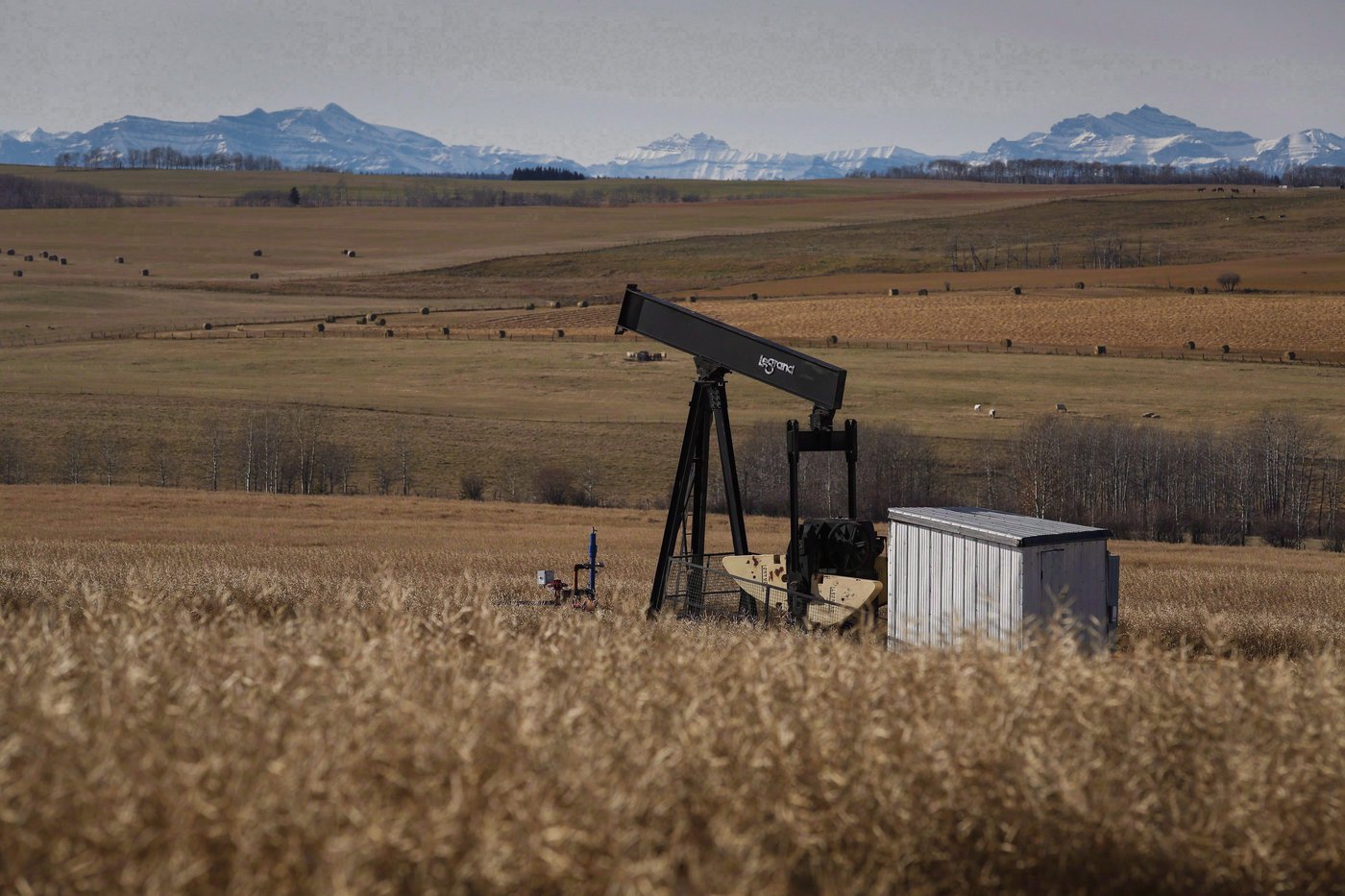 Calgary-based energy company ordered to suspend operations