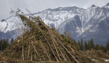 What’s in store for Canada’s 2026 wildfire season?