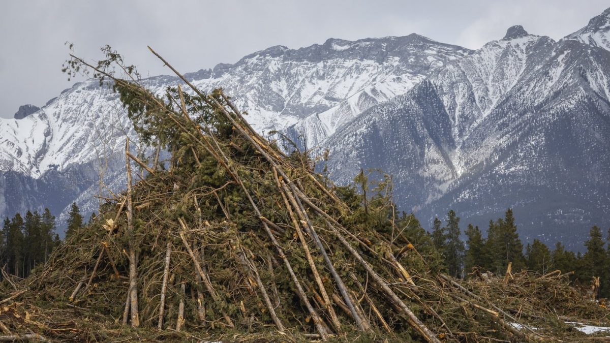 What’s in store for Canada’s 2026 wildfire season?
