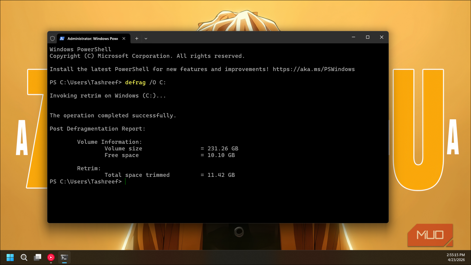 defrag Trim command in Windows Terminal on Windows 11