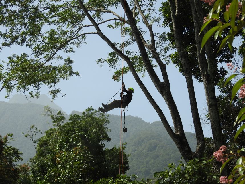 Acoustic monitors are fitted in Honduras as part of an anti-poaching effort by Panthera. Franklin Castañeda, Honduras country director at the wild cat conservation organization said the detection system was yielding results.